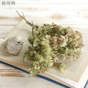ドライフラワー 花材 即日出荷 オレガノケント...の詳細画像5
