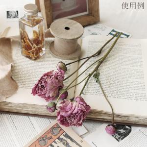 ドライフラワー 花材 即日出荷 ピオニー ナチ...の詳細画像5