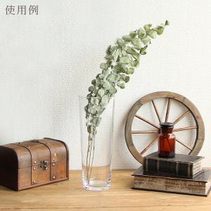 ドライフラワー 花材 即日出荷 ユーカリ・ドラ...の詳細画像4
