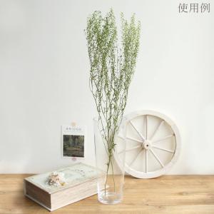 ドライフラワー 花材 即日出荷 タラスピ・ナズ...の詳細画像4