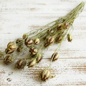 ドライフラワー 花材 即日出荷 ニゲラ ナチュラル ドライフラワー スワッグ ブーケ ドライフラワー花束 ドライフラワースワッグ 花材 コアトレーディング