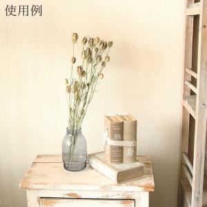 ドライフラワー 花材 即日出荷 ニゲラ ナチュ...の詳細画像3