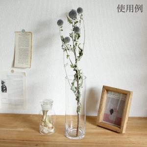 ドライフラワー 花材 即日出荷 ルリタマアザミ...の詳細画像4