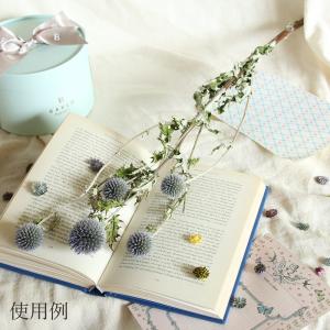 ドライフラワー 花材 即日出荷 ルリタマアザミ...の詳細画像5