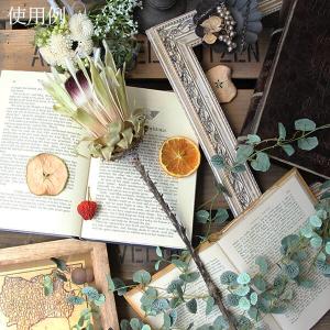 ドライフラワー 花材 即日出荷 プロテア・ホワ...の詳細画像4