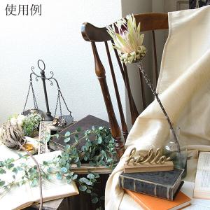 ドライフラワー 花材 即日出荷 プロテア・ホワ...の詳細画像5