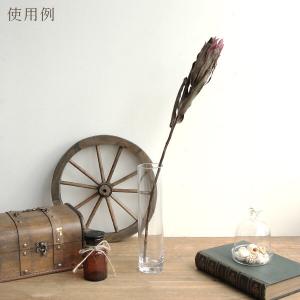 ドライフラワー 花材 即日出荷 プロテア・ブレ...の詳細画像5
