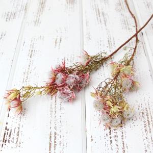 ドライフラワー 花材 即日出荷 リペンス・ロゼッタ オフホワイト