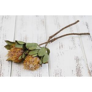 ドライフラワー 花材 即日出荷 ピンクッション・ベルドファイヤー ワイルドフラワー ドライフラワー スワッグ ブーケ 花束 リース DIY コアトレーディング