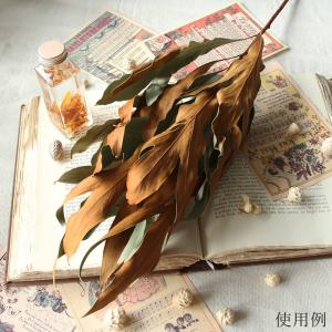 ドライフラワー 花材 即日出荷 グレビレア・ゴ...の詳細画像5