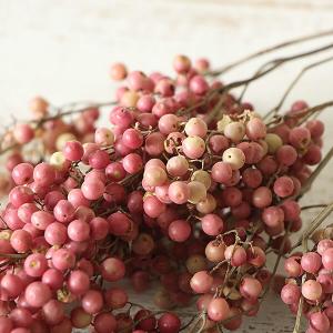 ドライフラワー 花材 即日出荷 ペッパーベリー...の詳細画像1