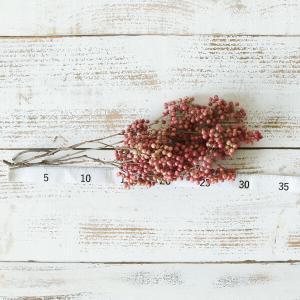 ドライフラワー 花材 即日出荷 ペッパーベリー...の詳細画像2