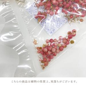 ドライフラワー 花材 即日出荷 ペッパーベリー...の詳細画像3