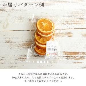 ドライフラワー 花材 即日出荷 オレンジスライ...の詳細画像2
