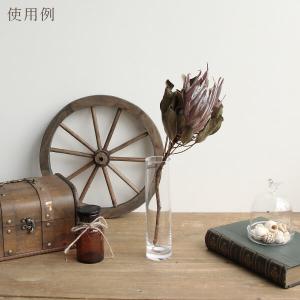 ドライフラワー 花材 即日出荷 キングプロテア...の詳細画像5