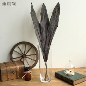 ドライフラワー 花材 即日出荷 ブラックリーフ...の詳細画像4