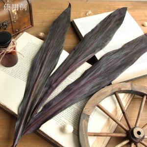 ドライフラワー 花材 即日出荷 ブラックリーフ...の詳細画像5