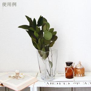 プリザーブドフラワー 花材 即日出荷 ポプルス...の詳細画像4
