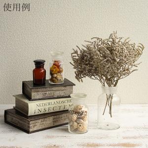 ドライフラワー 花材 即日出荷 タタリカ ナチ...の詳細画像4
