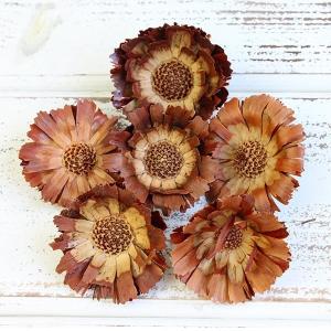 P5倍中 爆買】 ドライフラワー 花材 即日出荷 アーティチョーク・ミニ