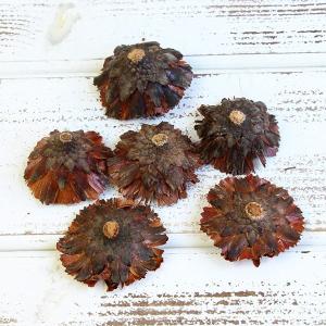 ドライフラワー 花材 即日出荷 リペンズローゼ...の詳細画像3