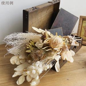 ドライフラワー 花材 即日出荷 ナーブサム ナ...の詳細画像4