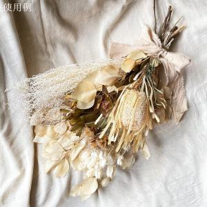 ドライフラワー 花材 即日出荷 ナーブサム ナ...の詳細画像5