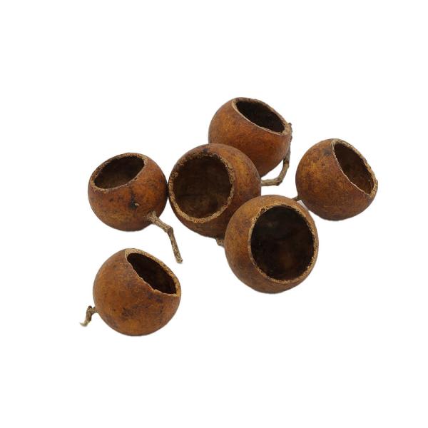 ドライフラワー 花材 即日出荷 クルチフルーツ・S ナチュラル 花材 素材 材料 パーツ リース ブ...