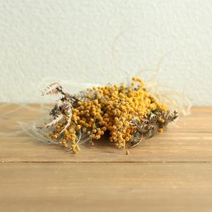 花材 ドライフラワー アレンジ 即日出荷 ミモ...の詳細画像3