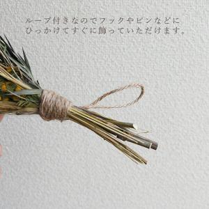 花材 ドライフラワー アレンジ 即日出荷 ミモ...の詳細画像5