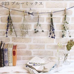 ドライフラワー 花材 即日出荷 ガーランドスタ...の詳細画像3
