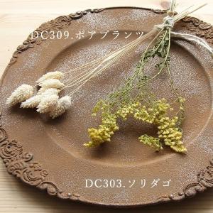 ドライフラワー 花材 即日出荷 もっとドライフ...の詳細画像3