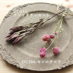ドライフラワー 花材 即日出荷 もっとドライフ...の詳細画像5