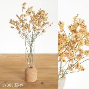ドライフラワー 花材 即日出荷 ハイブリッドス...の詳細画像2