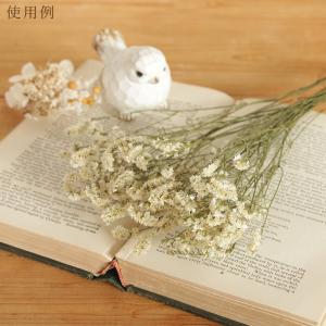 ドライフラワー 花材 即日出荷 ハイブリッドス...の詳細画像5