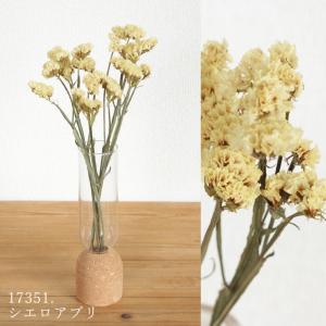 ドライフラワー 花材 即日出荷 スターチス ※...の詳細画像3