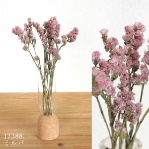 ドライフラワー 花材 即日出荷 スターチス ※...の詳細画像4