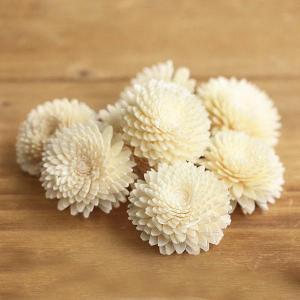 ハンドメイドフラワー 花材 即日出荷 ソラ アナスタシア SS ドライフラワー ソラ ソーラー 自然素材 花材 材料 アレンジ コサージュ 髪飾り ブライダル