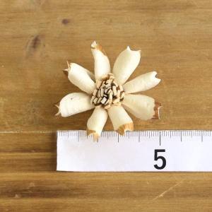 ハンドメイドフラワー 花材 即日出荷 ソラ D...の詳細画像4