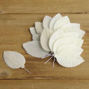 ハンドメイドフラワー 花材 即日出荷 ソラ リーフ・ローズ S ドライフラワー ソラ ソーラー 自然素材 花材 材料 アレンジ コサージュ 髪飾り ブライダル