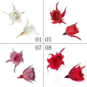 P5倍中 爆買】 プリザーブドフラワー 花材 即日出荷 リサ ローズ