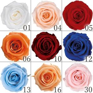 《プリザーブドフラワー 花材》とりよせ品Florever