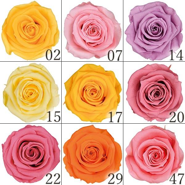 【P5倍中 12/02 09:59迄】 プリザーブドフラワー 花材 とりよせ品 メディアナローズ(1...