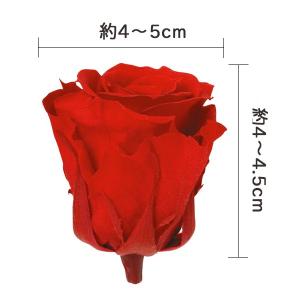 プリザーブドフラワー 花材 とりよせ品 メディ...の詳細画像5