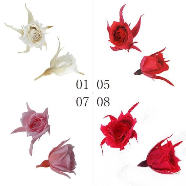 プリザーブドフラワー 花材 とりよせ品 マイクロローズ(1箱20輪入り) ドライフラワー 花材 素材...