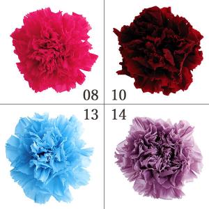 プリザーブドフラワー 花材 とりよせ品 カーネーション(1箱8輪入り