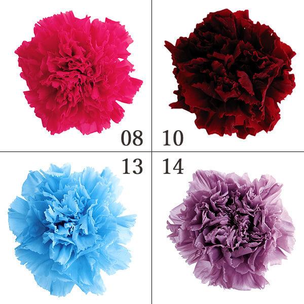 プリザーブドフラワー 花材 とりよせ品 スタンダードカーネーション ドライフラワー 花材 素材 パー...