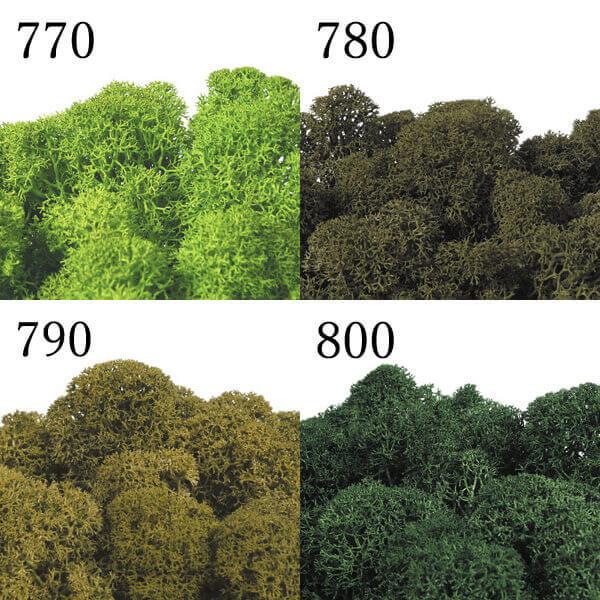 【ポイント5倍中 11/03 09:59迄】 プリザーブドフラワー 花材 とりよせ品 ノルディックモ...