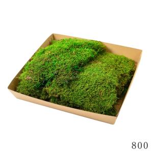 プリザーブドフラワー 花材 とりよせ品 フラットモス ドライフラワー 花材 素材 パーツ 材料 モス コケ 苔 ハーバリウム プリザーブドローズ Preserving