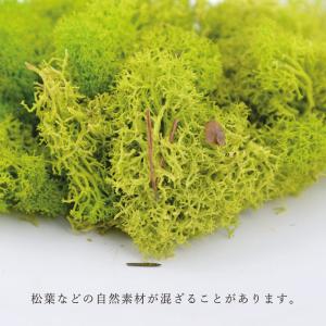 プリザーブドフラワー 花材 とりよせ品 フラッ...の詳細画像3